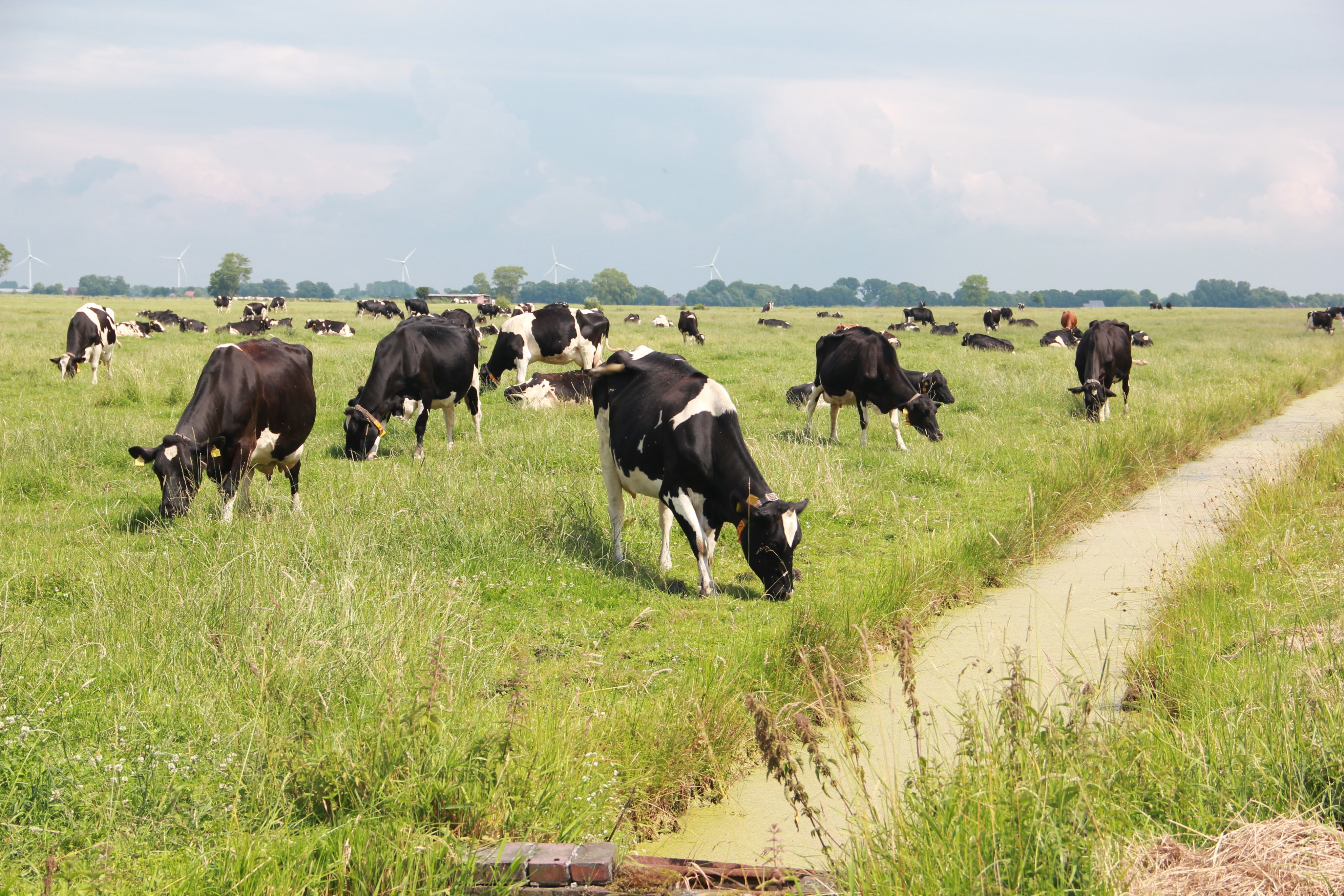 Ernährung und Landwirtschaft › Susanne Mittag, MdB